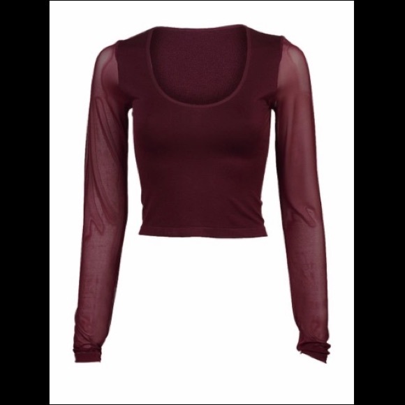 Forever 21 Tops - Forever 21 Wine Sheer-Sleeve Crop Top